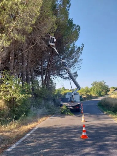Élagage d’arbres avec un camion nacelle en bord de route Camion nacelle élaguant des arbres sur une route balisée.